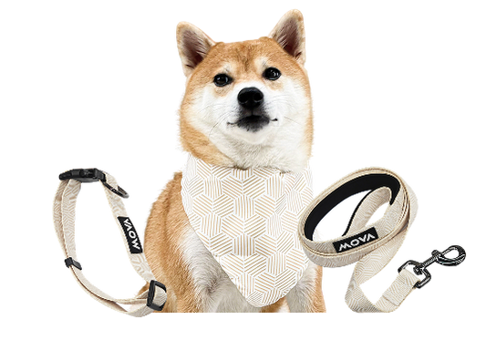 MOVA Pet Accessories Set: Bib, Leash & Adjustable Collar