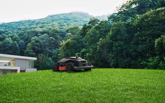Should You Mow Over Dog Poop on Your Lawn?