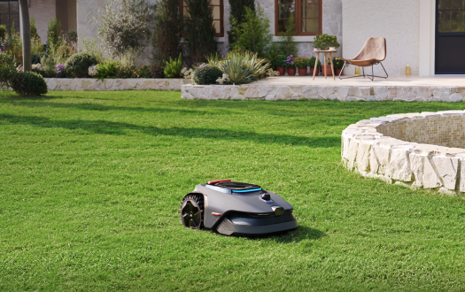 When is the Best Time to Plant Grass Seed? (The Complete Guide)