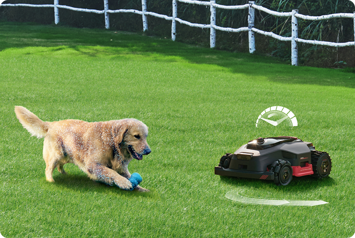 How to Prepare Your Lawn for Spring Mowing