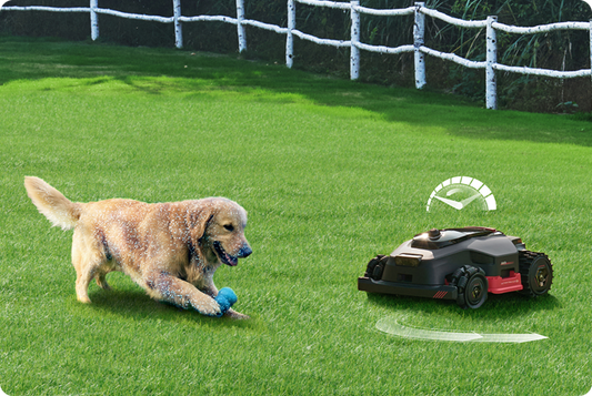 How to Prepare Your Lawn for Spring Mowing
