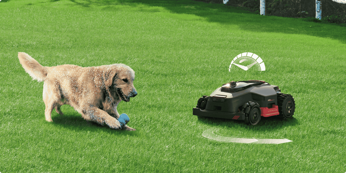Top 10 Lawn Care Tools for A Perfect Yard