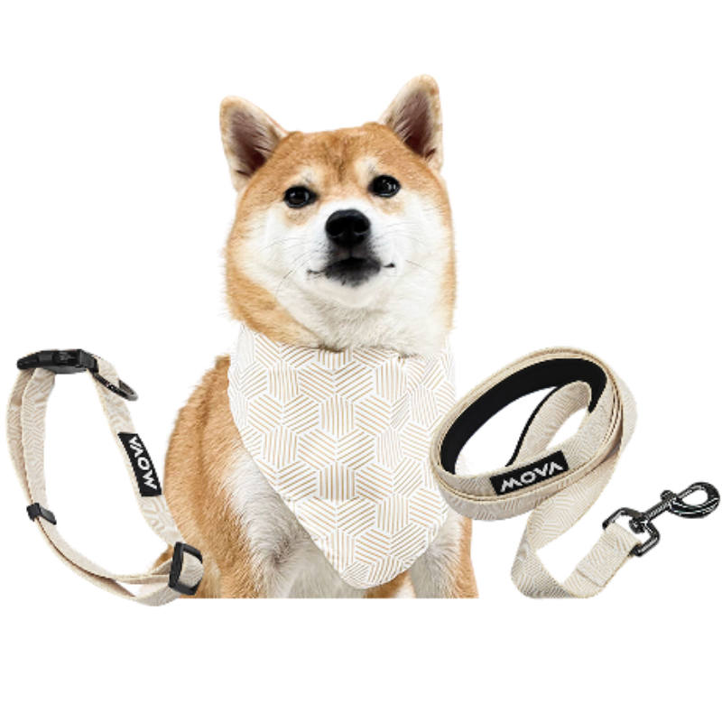 MOVA Pet Accessories Set: Bib, Leash & Adjustable Collar