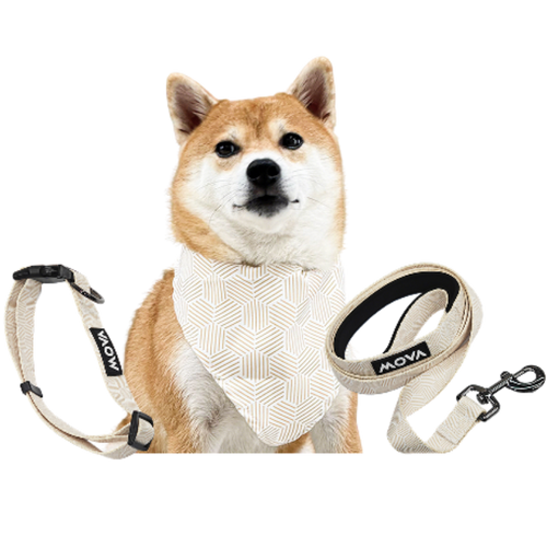 MOVA Pet Accessories Set: Bib, Leash & Adjustable Collar