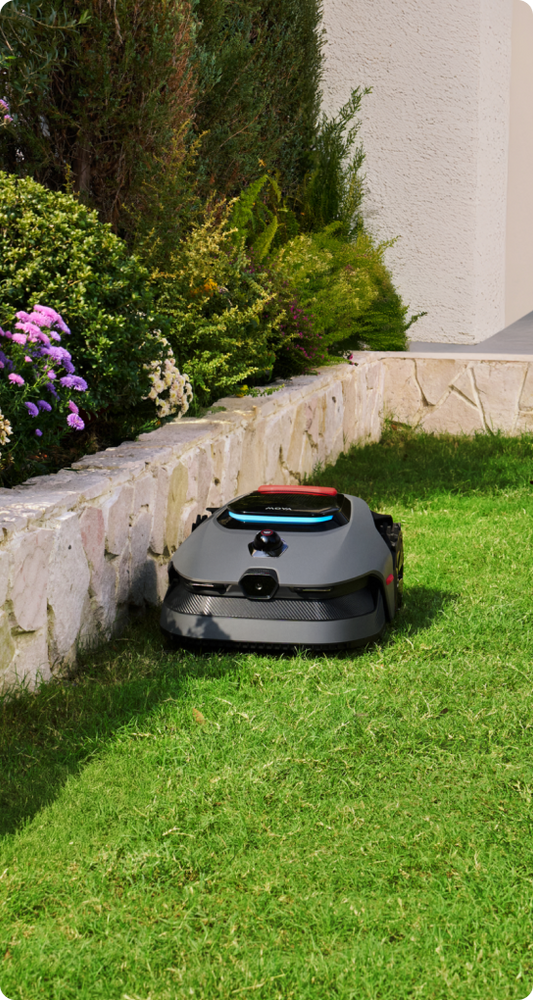 Refresh your Garden