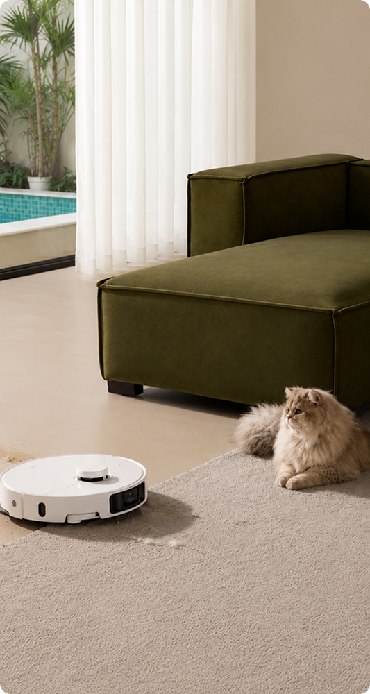 For your Furry friend