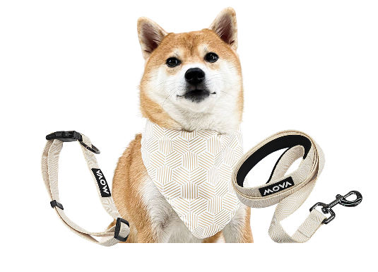 MOVA Pet Accessories Set: Bib, Leash & Adjustable Collar | MOVA US