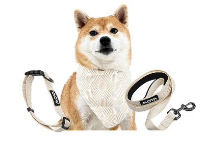 MOVA Pet Accessories Set: Bib, Leash & Adjustable Collar | MOVA US
