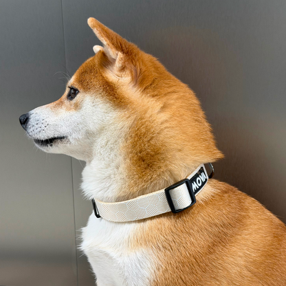 MOVA Pet Collar | Adjustable Stylish Dog Collar for Everyday Wear