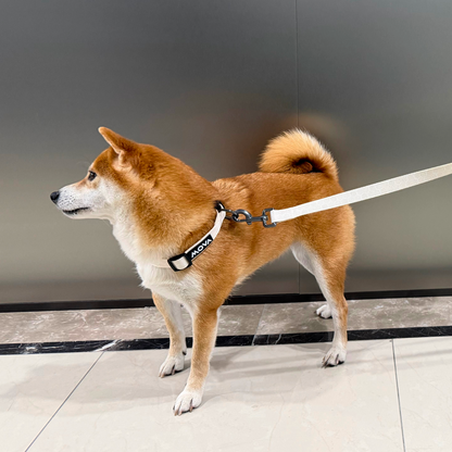 MOVA Pet Leash | 66 Inch Durable Dog Leash with Comfort Grip